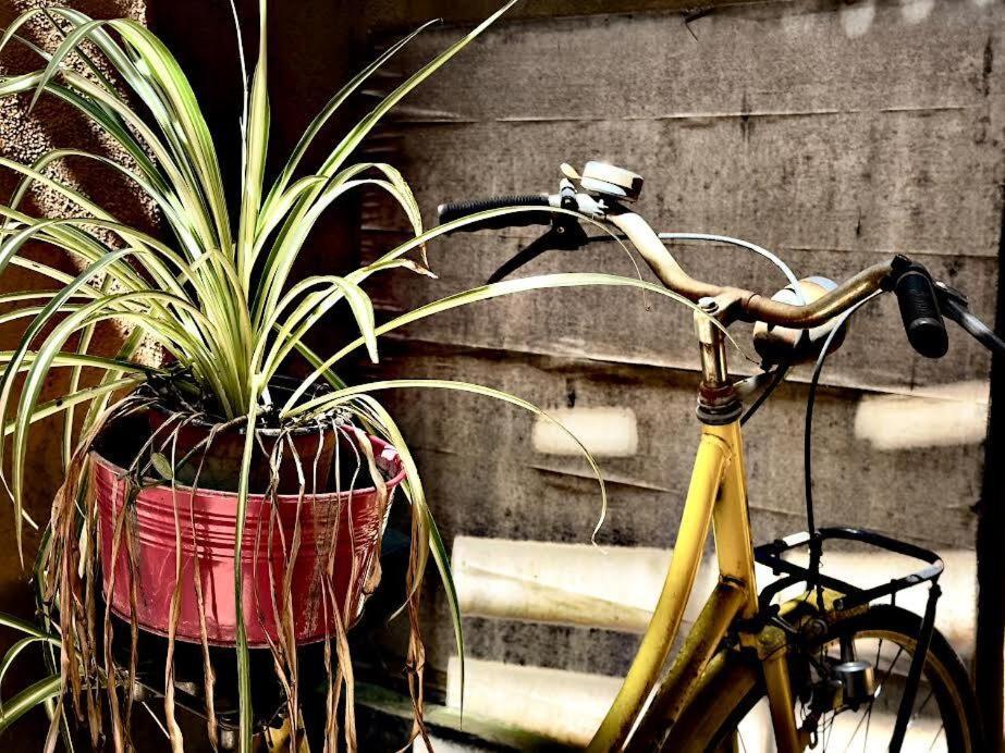 Maya Rhome Trastevere Řím Exteriér fotografie